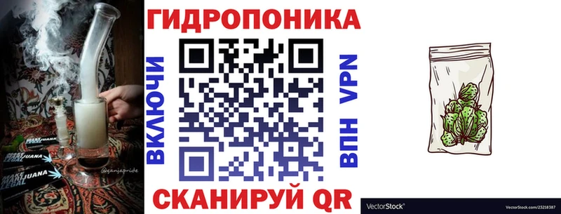 blacksprut маркетплейс Старая Русса Каннабис сатива